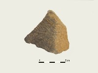 藏品(陶片)的圖片