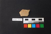 藏品(陶片)的圖片