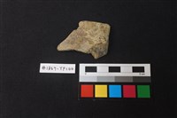 藏品(陶片)的圖片