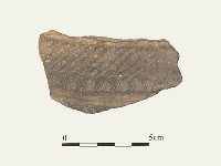 藏品(陶片)的圖片