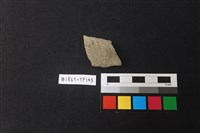 藏品(陶片)的圖片