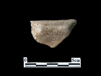 藏品(陶片)的圖片