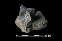 藏品(陶蓋鈕)的圖片