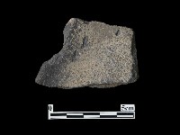 藏品(陶片)的圖片