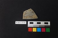 藏品(陶片)的圖片