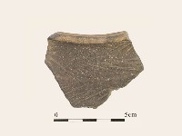 藏品(陶片)的圖片