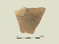 藏品(陶片)的圖片