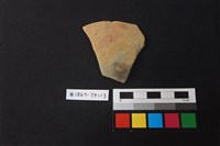 藏品(陶片)的圖片