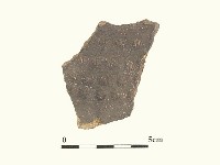 藏品(陶片)的圖片