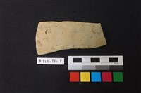 藏品(陶片)的圖片