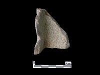 藏品(陶片)的圖片