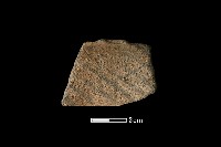 藏品(陶片)的圖片