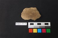 藏品(陶片)的圖片