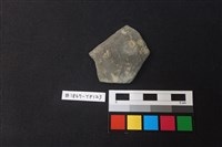 藏品(陶片)的圖片