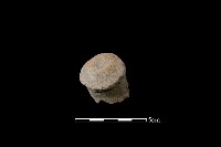 藏品(陶鈕)的圖片