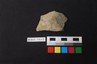 藏品(陶片)的圖片