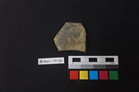 藏品(陶片)的圖片