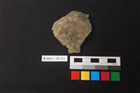 藏品(陶片)的圖片