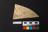 藏品(陶片)的圖片