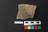 藏品(陶片)的圖片