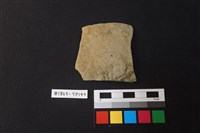 藏品(陶片)的圖片