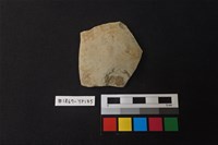 藏品(陶片)的圖片