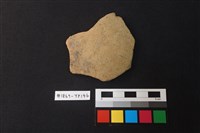 藏品(陶片)的圖片