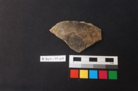 藏品(陶片)的圖片