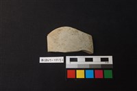 藏品(陶片)的圖片