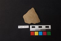 藏品(陶片)的圖片