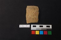 藏品(陶片)的圖片