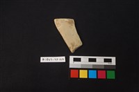 藏品(陶片)的圖片