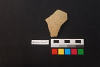 藏品(陶片)的圖片