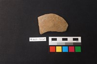 藏品(陶片)的圖片