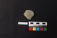 藏品(陶片)的圖片