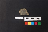 藏品(陶片)的圖片