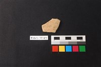 藏品(陶片)的圖片