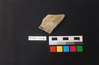 藏品(陶片)的圖片