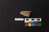 藏品(陶片)的圖片