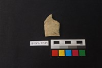 藏品(陶片)的圖片