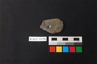 藏品(陶片)的圖片