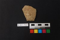 藏品(陶片)的圖片