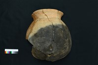 藏品(陶罐)的圖片