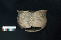 藏品(陶罐)的圖片