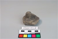 藏品(碗/淺盤型陶蓋)的圖片