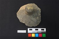 藏品(覆碗型陶蓋)的圖片