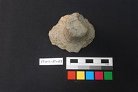 藏品(覆碗型陶蓋)的圖片