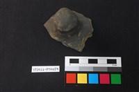 藏品(覆碗型陶蓋)的圖片