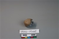 藏品(陶鈕)的圖片