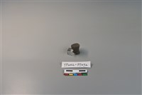 藏品(陶鈕)的圖片